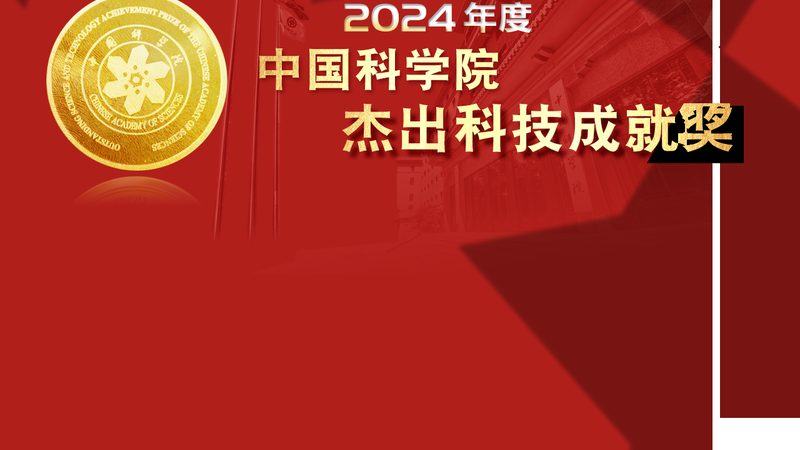 商业智能决策支持平台的选型逻辑与技术验证要点